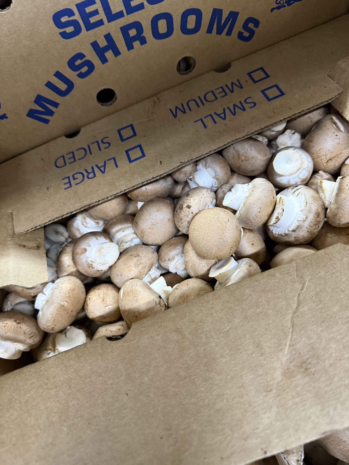 MAK Crimini Mushrooms